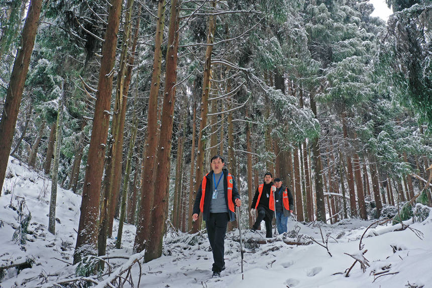 3���o�ֆT���օ^(q��)Ѳ�o���w�z