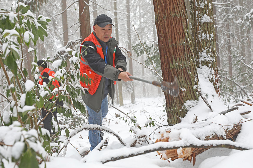 ȽС�����ڲ鿴��(sh��)ľ�ܓp��r���w�z