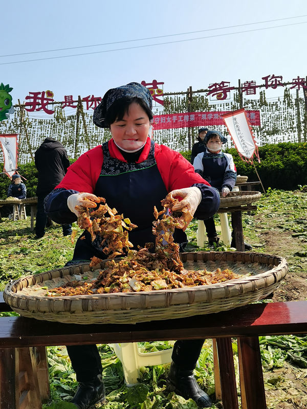 ������������ζ�́������S�Ӕz