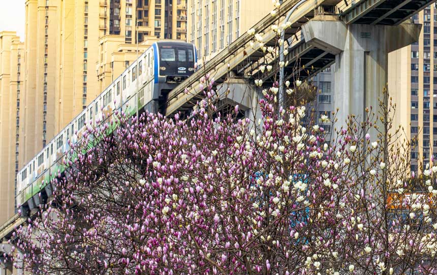 �������p܉��܇�ڻ����С���Խ������(g��u)��һ�������Ĵ��쮋�������o�ؔz