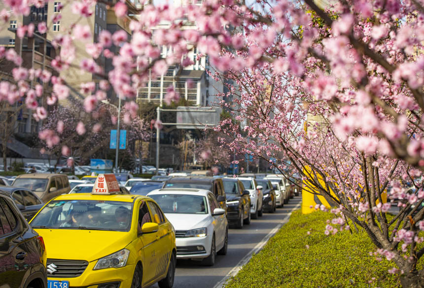 ���υ^(q��)���ϴ���ϵ����m�������_����������ѩ��������������o�ؔz