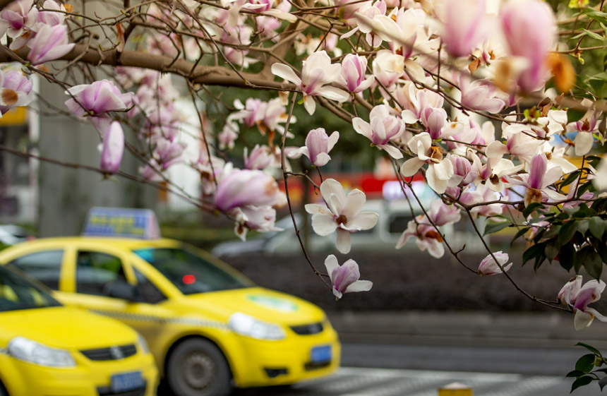 ���υ^(q��)���ϴ���ϵ����m�������_����������ѩ��������������o(j��)��?c��i)z