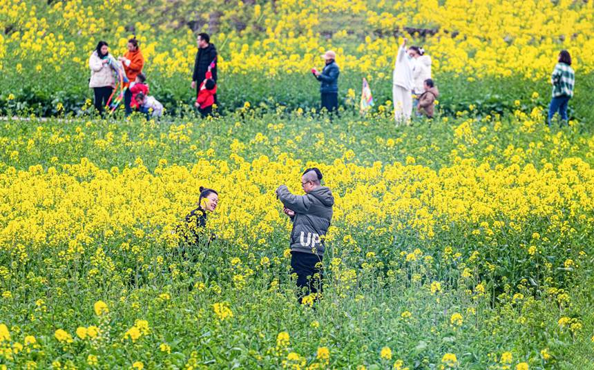 �����ο����ؑc���ϴ��^(q��)�|�ǽֵ�������^(q��)̤���p����������z