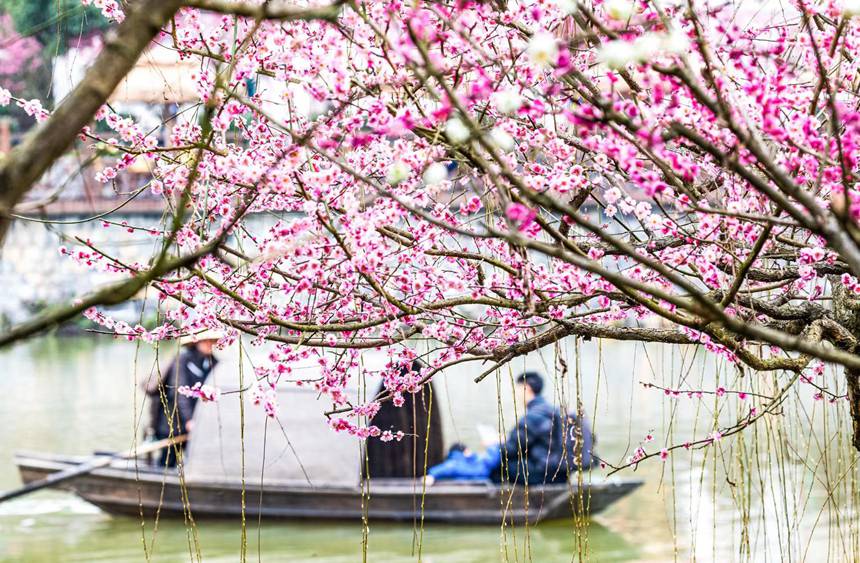 �����ο����ؑc���ϴ��^(q��)÷�A�@����������������z