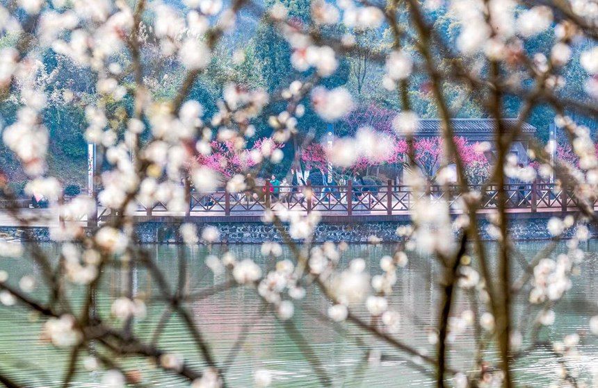 �����ο����ؑc���ϴ��^(q��)÷�A�@����������������z