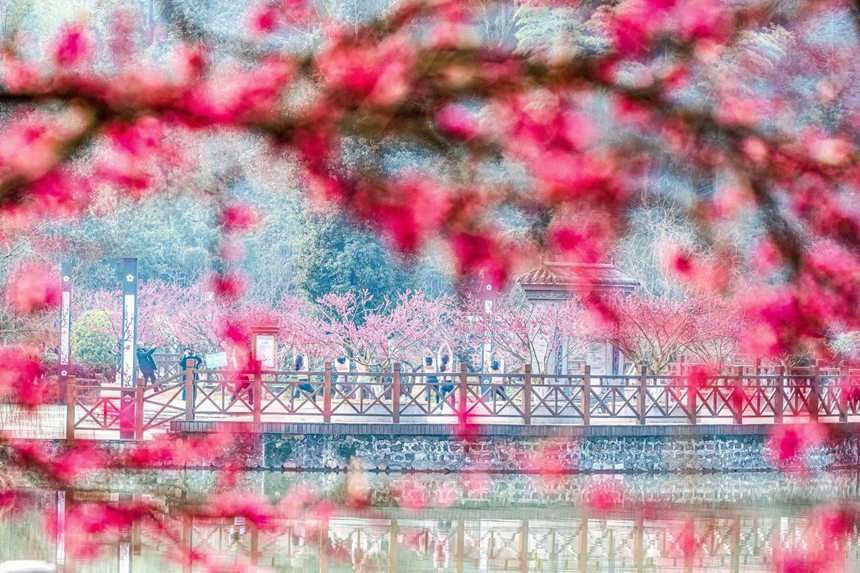 �����ο����ؑc���ϴ��^(q��)÷�A�@����������������z