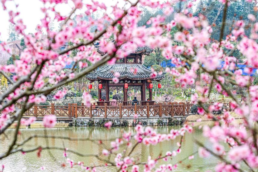 �����ο����ؑc���ϴ��^(q��)÷�A�@����������������z