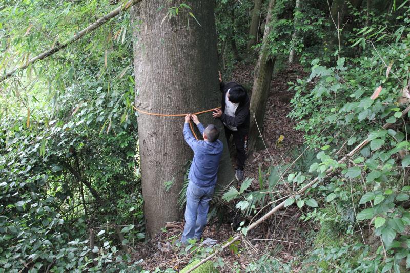 �ؑc�l(f��)�F(xi��n)��ϡ�lΣ����������N���·ֲ���N232��(g��)��2��