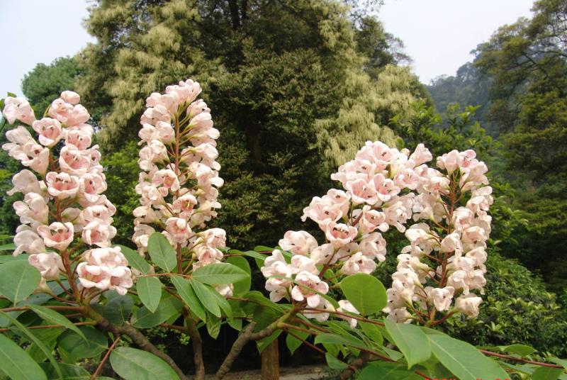 �ؑc�l(f��)�F(xi��n)��ϡ�lΣ����������N���·ֲ���N232��