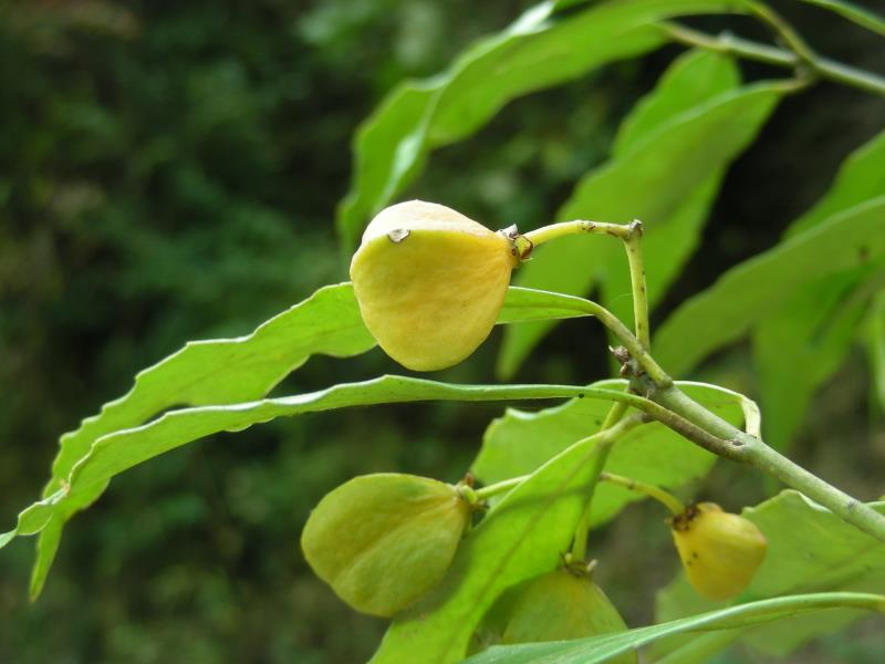 �ؑc�l(f��)�F(xi��n)��ϡ�lΣ����������N���·ֲ���N232��(g��)��3��