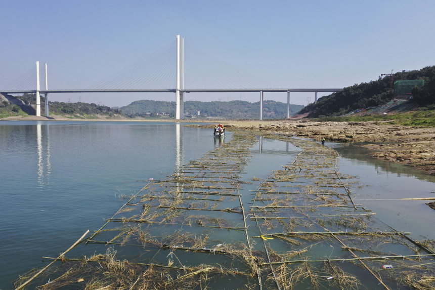 �o(h��)�~�(du��)�T�ڬF(xi��n)��(ch��ng)Ѳ�鲢��(du��)�Ɠp�~���M(j��n)�м��r(sh��)�ޏ�(f��)����͢���z