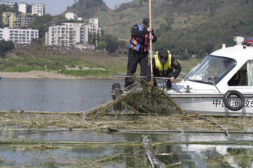 �o(h��)�~�(du��)�T�ڬF(xi��n)��Ѳ�鲢���Ɠp�~���M(j��n)�м��r(sh��)�ޏ�(f��)����͢���z