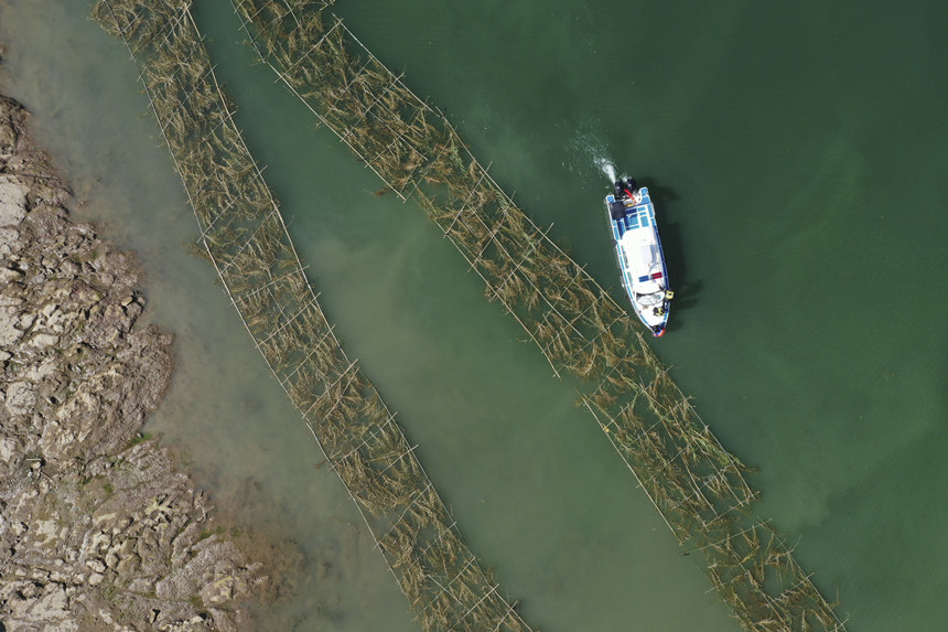 �o(h��)�~�(du��)�T�ڬF(xi��n)��(ch��ng)Ѳ�鲢��(du��)�Ɠp�~���M(j��n)�м��r(sh��)�ޏ�(f��)����͢���z