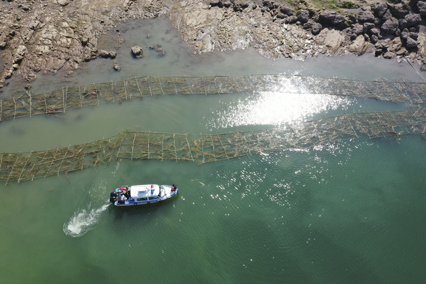 �o(h��)�~�(du��)�T�ڬF(xi��n)��Ѳ�鲢���Ɠp�~���M(j��n)�м��r(sh��)�ޏ�(f��)����͢���z