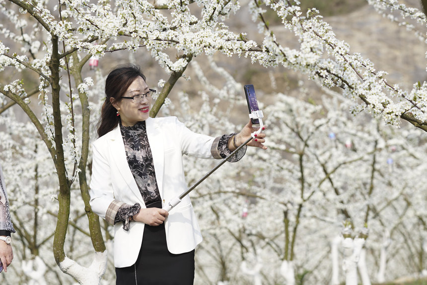 �������ؑc�б��Յ^(q��)�o�^�(zh��n)���A�塰�Vɽ���@��̤���p������͢���z