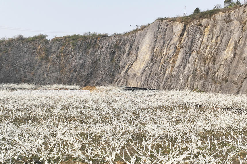 �ؑc�б��Յ^(q��)�o�^�(zh��n)���A�塰�Vɽ���@������͢���z