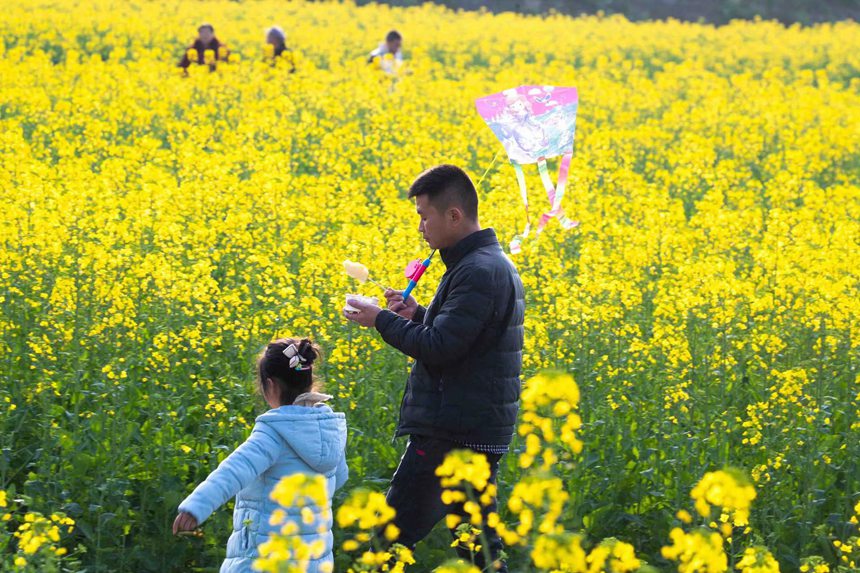 �ο����ؑc���ϴ��^(q��)�|�ǽֵ�������^(q��)�Ͳ˻������p��������������z