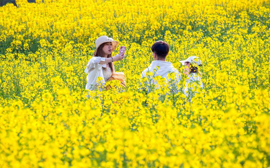 �ο����ؑc���ϴ��^(q��)�|�ǽֵ�������^(q��)�Ͳ˻������p��������������z