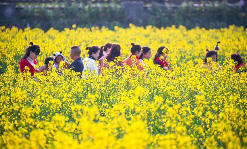 �ο����ؑc���ϴ��^(q��)�|�ǽֵ�������^(q��)�Ͳ˻������p��������������z