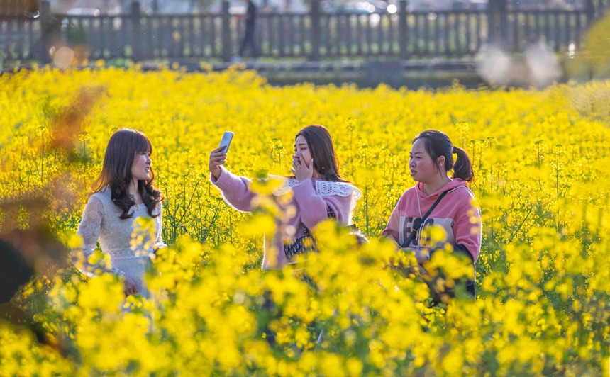 �ο����ؑc���ϴ��^(q��)�|�ǽֵ�������^(q��)�Ͳ˻������p��������������z