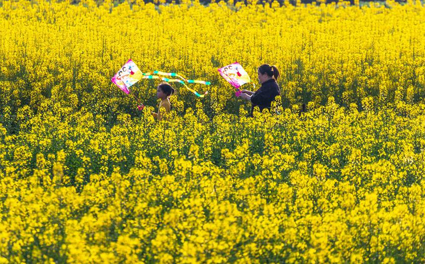 �ο����ؑc���ϴ��^(q��)�|�ǽֵ�������^(q��)�Ͳ˻����������p��������������z