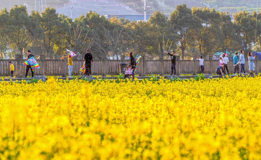 �ο����ؑc���ϴ��^(q��)�|�ǽֵ�������^(q��)�Ͳ˻������p��������������z