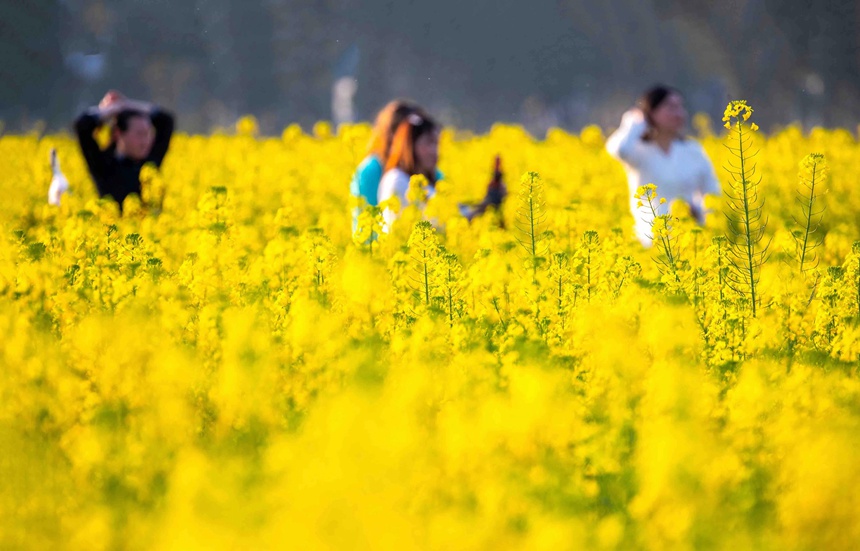 �ο����ؑc���ϴ��^(q��)�|�ǽֵ�������^(q��)�Ͳ˻������p��������������z