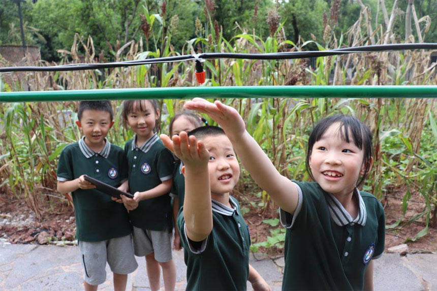 ���ӂ��w�����ȼ��g(sh��)���u���z