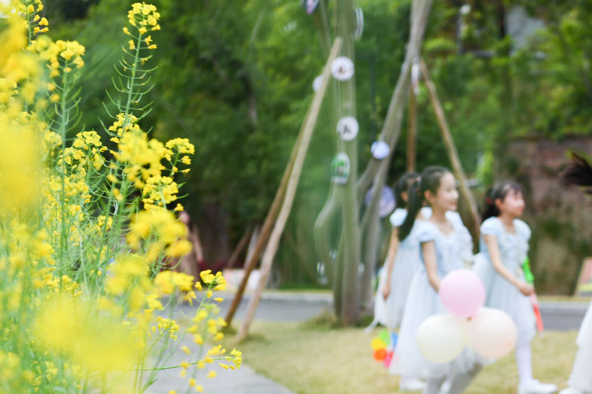 �ɽ��^(q��)ͯ�����С�W��У�@��(n��i)���Ͳ˻���(n��i)�����_�š��u���z