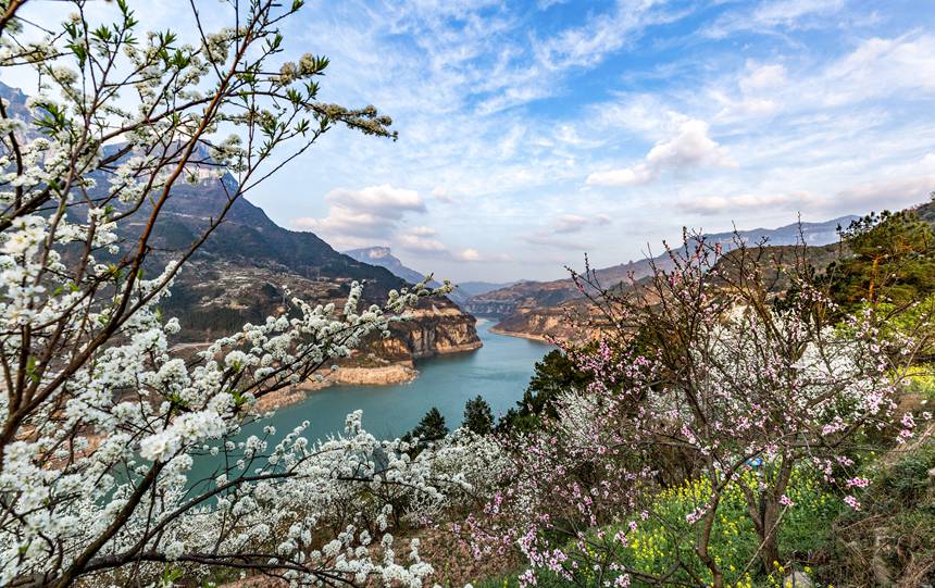 �ؑc���ϴ��^(q��)��ɽ�(zh��n)Ժ�Ǵ���ɽ�`�ŵ����������z