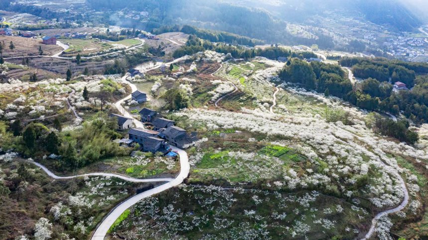 �ؑc���ϴ��^(q��)��ɽ�(zh��n)Ժ�Ǵ���ɽ�`�ŵ����������z���o�˙C���ģ�