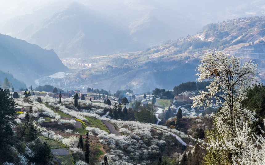 �ؑc���ϴ��^(q��)��ɽ�(zh��n)Ժ�Ǵ���ɽ�`�ŵ���q��������z���o(w��)�˙C(j��)���ģ�