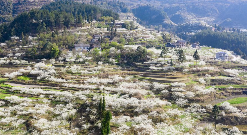 �ؑc���ϴ��^(q��)��ɽ�(zh��n)Ժ�Ǵ���ɽ�`�ŵ���q��������z���o�˙C���ģ�