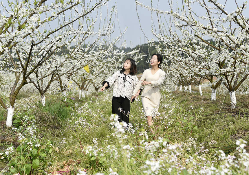 �����(zh��n)��_(k��i)���ο�Ľ������(l��i)���S�Ӕz