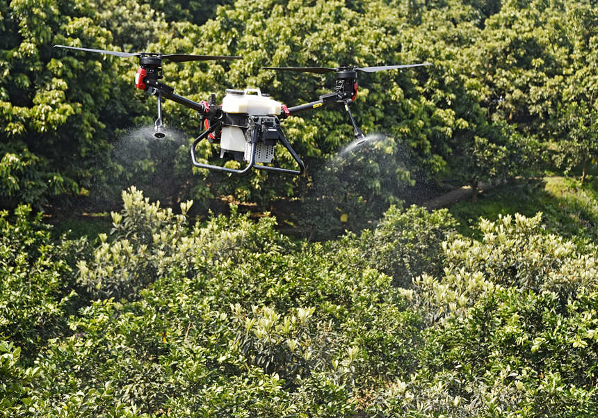 �����(zh��n)�������ßo�˙C�M�й��䴺�����S�Ӕz