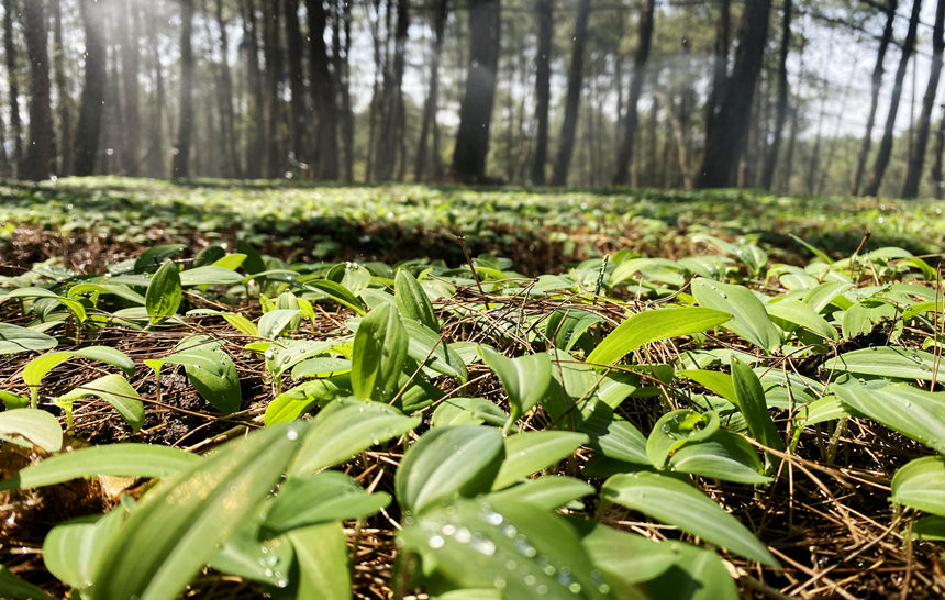 ����l(xi��ng)�S����������ð��ѿ���S�Ӕz