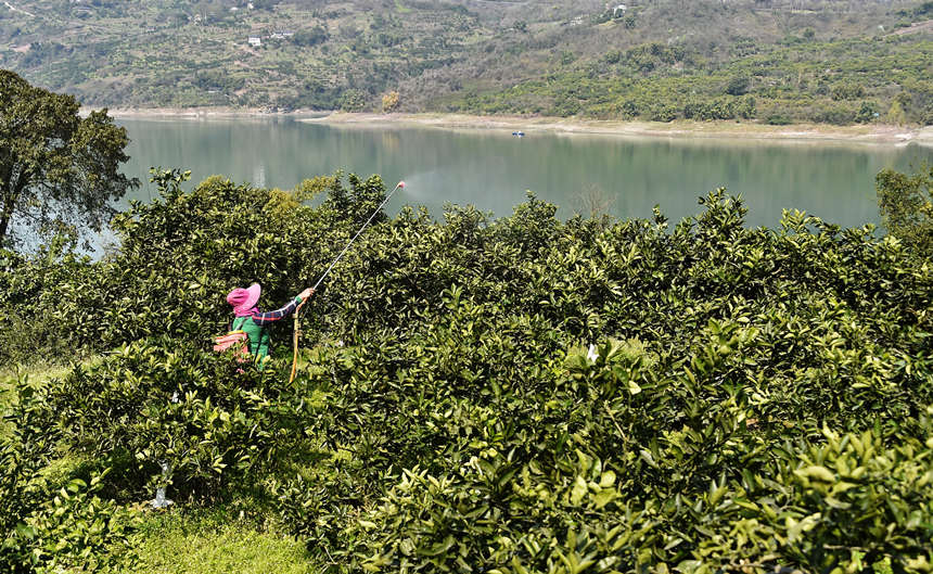 �L(zh��ng)��߅���G���͵ĸ��٘�(sh��)��������ϣ�����S�Ӕz