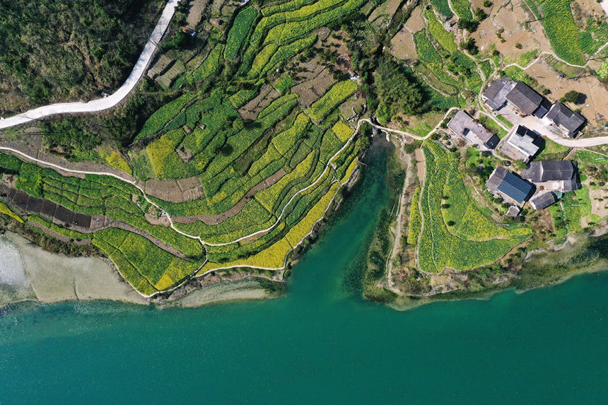 �ؑc��ǭ���^(q��)����(zh��n)��ƺ�尢��ϵ��L(f��ng)���������z