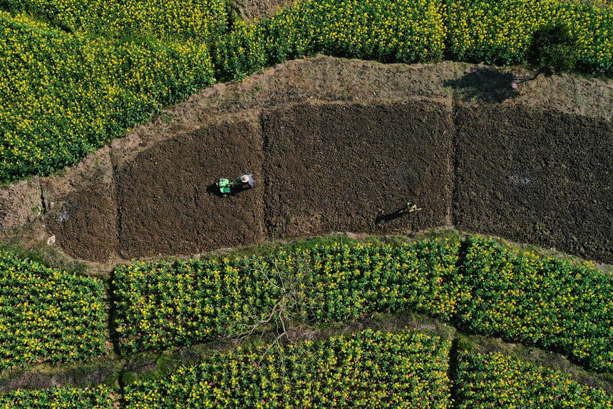 �����ڰ���ϵĵ�������������z