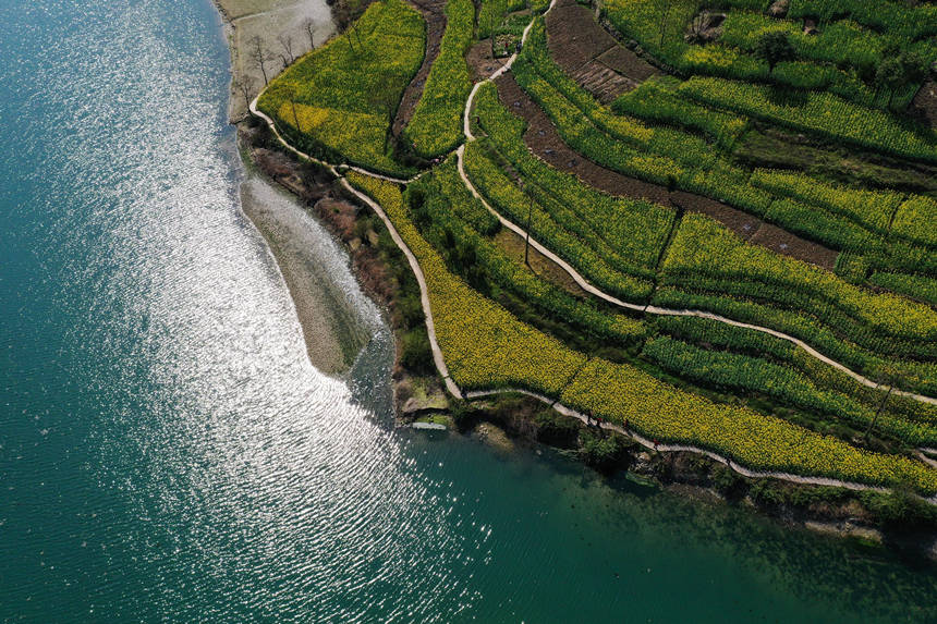 ����ϵ��Ͳ˻����������z