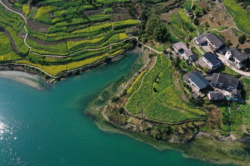 �ؑc��ǭ���^(q��)����(zh��n)��ƺ�尢��ϵ��L(f��ng)�⡣�����z