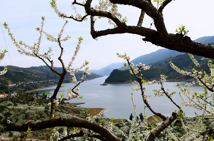 �ؑc����ɽ�h�����l(xi��ng)�f�஀�ʢ�_���R�ȑc�z