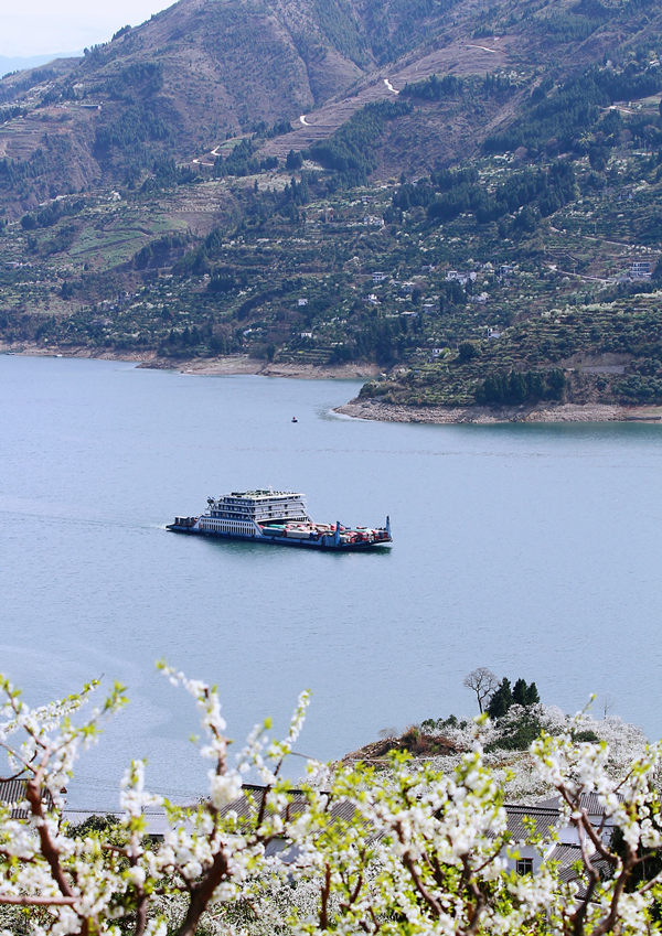 �ؑc����ɽ�h�����l(xi��ng)�f(w��n)�஀�ʢ�_(k��i)���R�ȑc�z