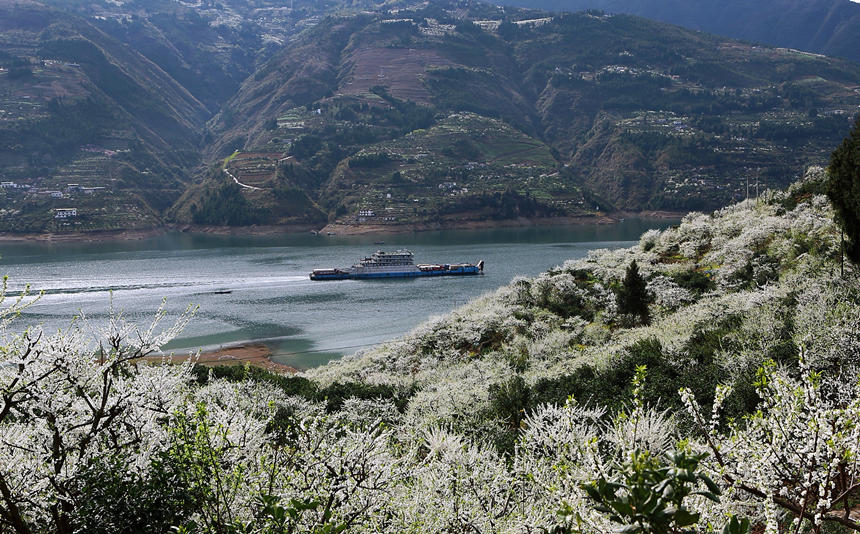 �ؑc����ɽ�h�����l(xi��ng)�f�஀�ʢ�_���R�ȑc�z