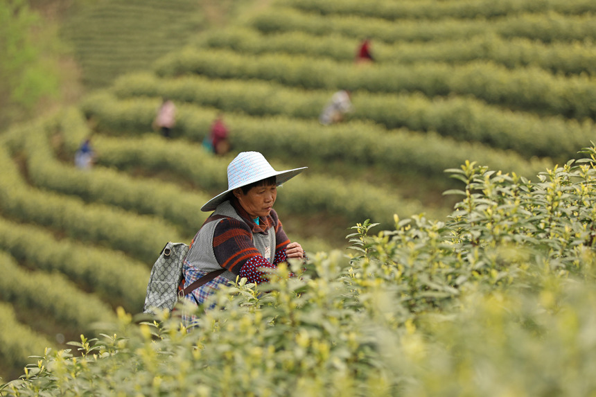 ������T�ڄ�(w��)�������Ӽ�ͥ���롣�w�z