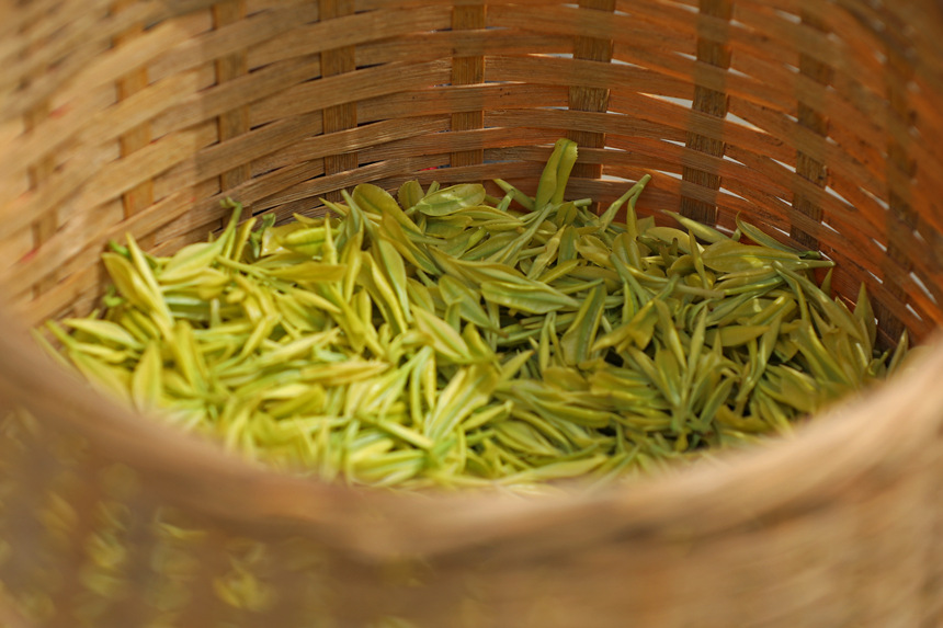 �����(zh��n)��@��ժ�Ĳ��~���w�z