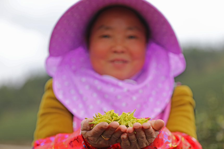 �����ڱ����(zh��n)�Ĳ�@��(n��i)��ժ��ǰ����ͨ�^�ڼ��T�ڄչ������Ӽ�ͥ�������w�z