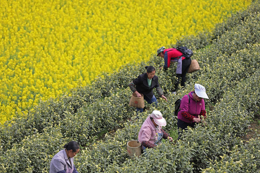 �����ڱ����(zh��n)�Ĳ�@��(n��i)��ժ��ǰ�衣�w�z