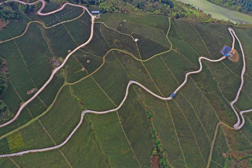 �����µ��ؑc����ˮ�������������οh�����(zh��n)��@�����箋���w�z