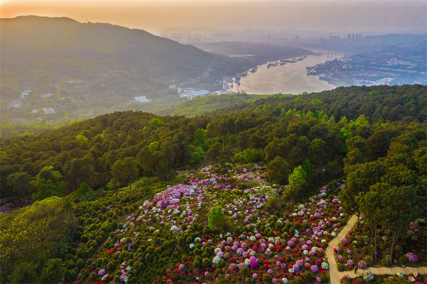 ÿ��3��4�������ؑc���ϰ��^(q��)��ţ�������д�Ƭ�Ķ��N�������a��ʢ�_������z